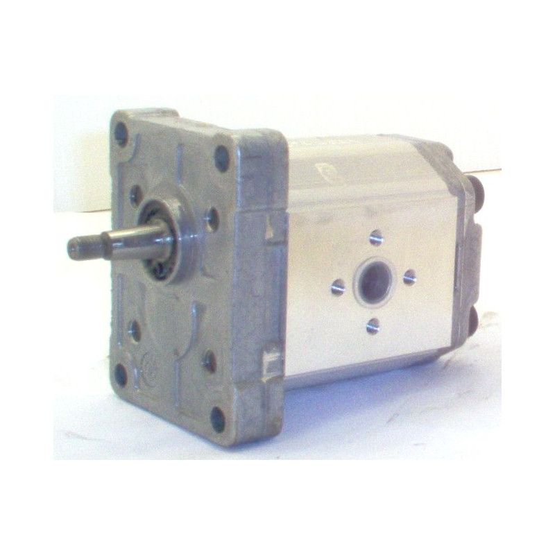 HYDRAULICZNA POMPA ZĘBATĄ SNP1 6.0S CO01
