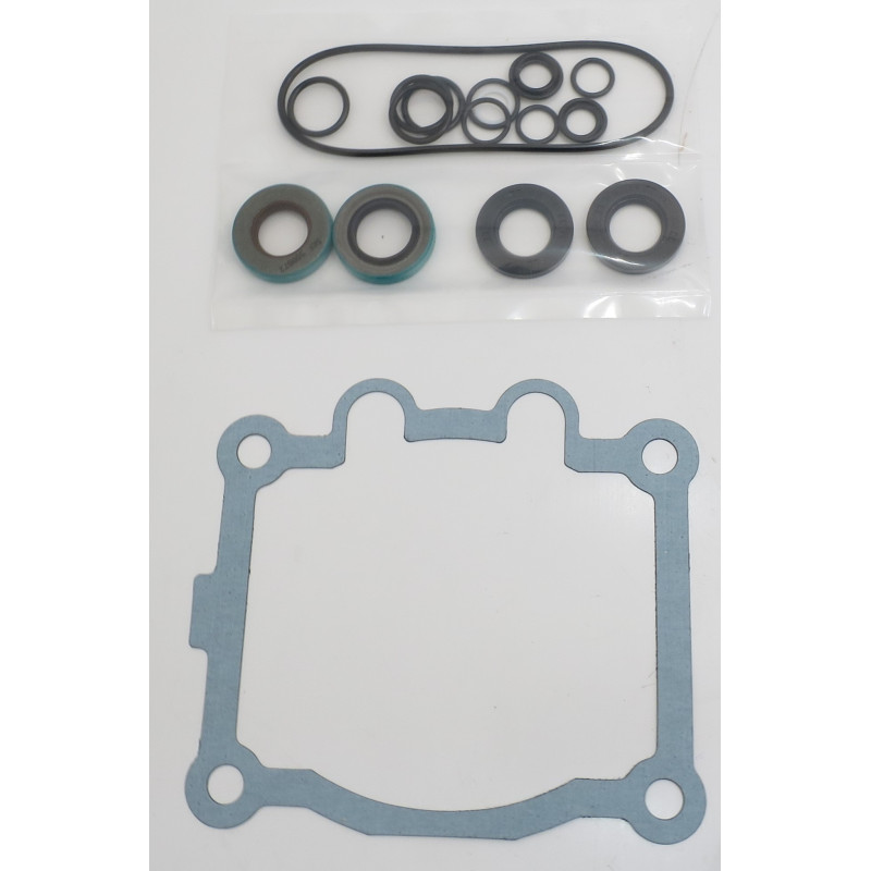 ZESTAW USZCZELNIEŃ SERII SPV15