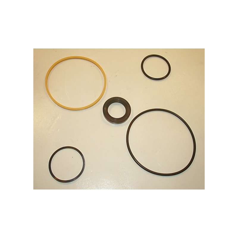 ZESTAW USZCZELNIEŃ VITON 20 V 981322N