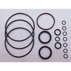 ZESTAW USZCZELNIEŃ SERII CHAR-LYNN „H”.