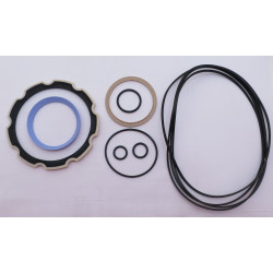 ZESTAW USZCZELNIEŃ SERII CHAR-LYNN „VIS30”.