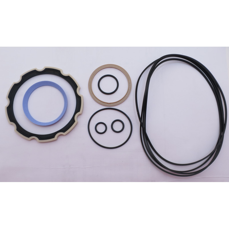 ZESTAW USZCZELNIEŃ SERII CHAR-LYNN „VIS30”.