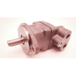 F11-010-RB-CN-K-000 POMPA TŁOKOWA
