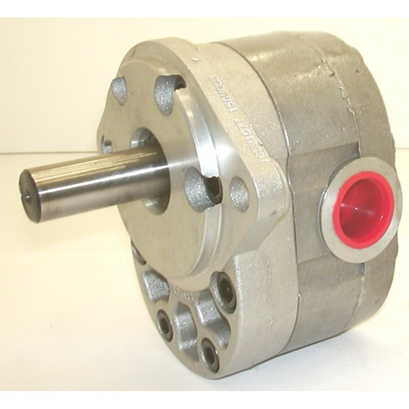 116YC001701-LF WEBSTERA 116YC001701-LF WEBSTERA