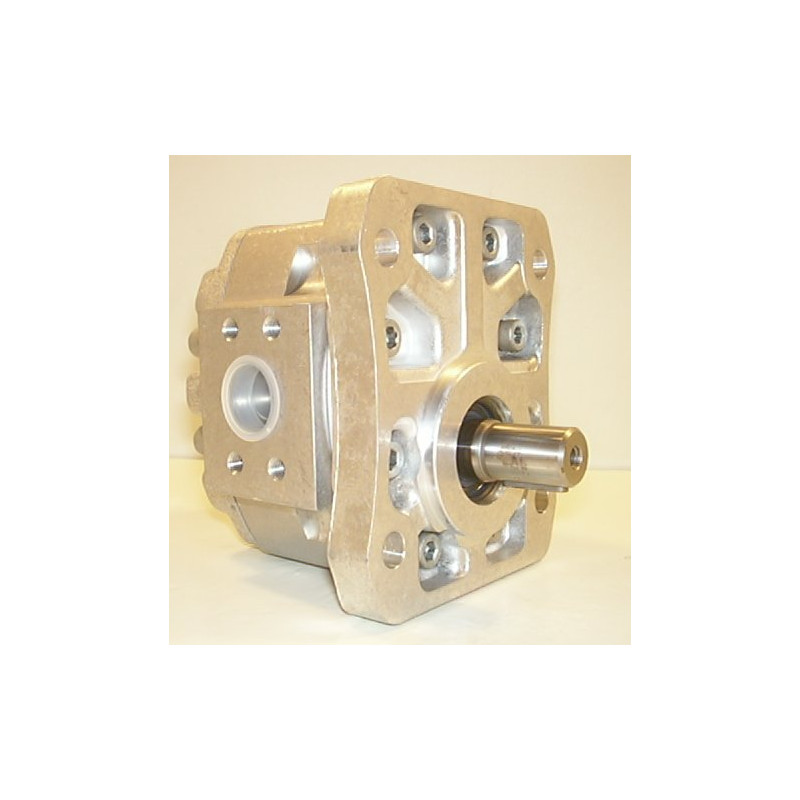 P1CEN2008HL20C02 POMPA HYDRAULICZNA