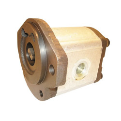 0510 625 040 POMPA CAT