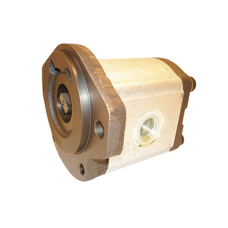 0510 625 040 POMPA CAT