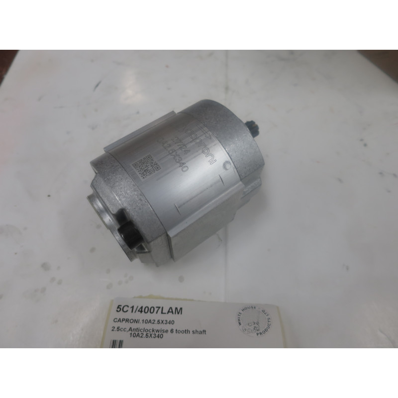 POMPA CAPRONI nr 10A2.5X340
