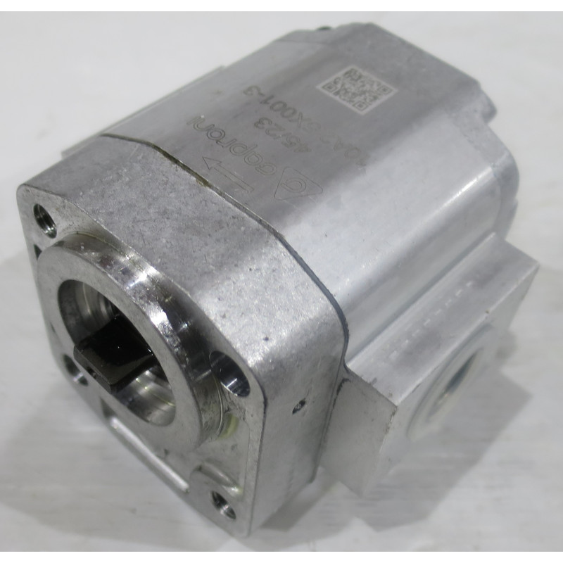 POMPA CAPRONI nr 10A2.5X001-3N