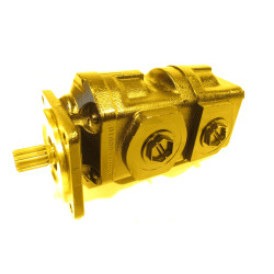 DAWID BRĄZOWY 192214