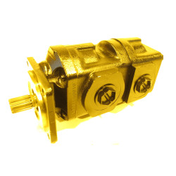 DAWID BRĄZOWY 192214