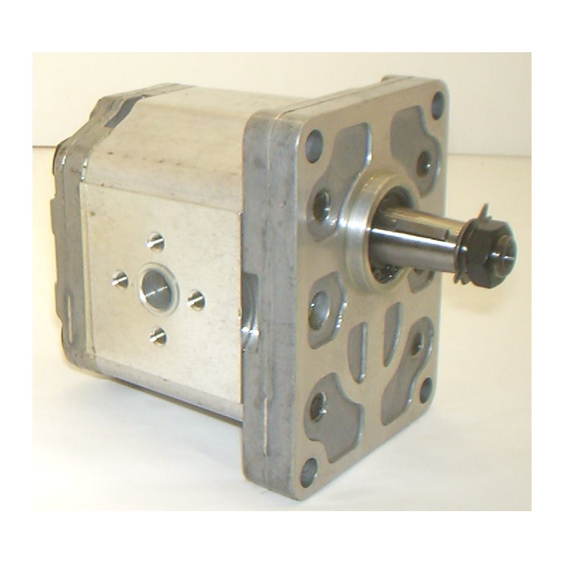 POMPA LAMBORGHINI 0510525313 POMPA LAMBORGHINI 0510525313