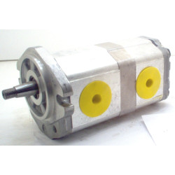 RENAULT PNN 17+11D C046 SAP5G