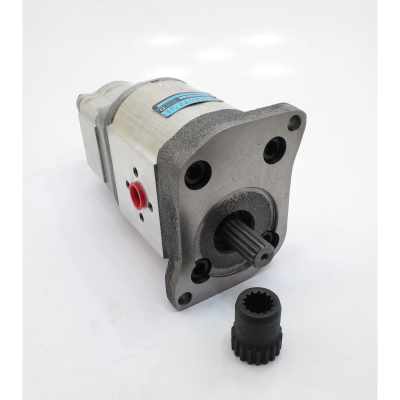 DĘBNIK. 31852310 32670