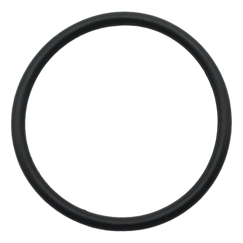 USZCZELKA O'RING 25,4 1,8 NI73
