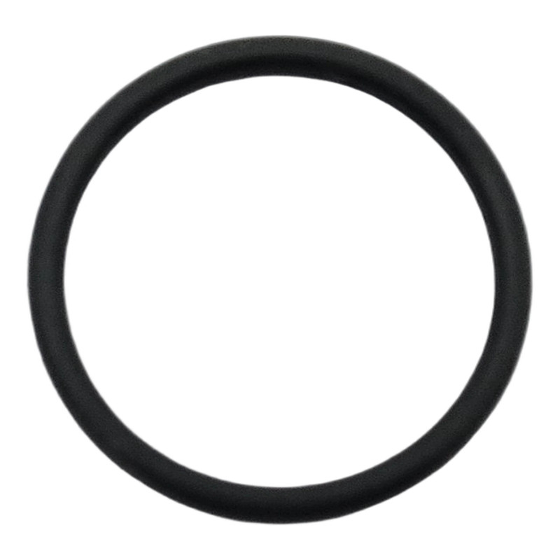 USZCZELKA O'RING 18.1 1.6 NI70
