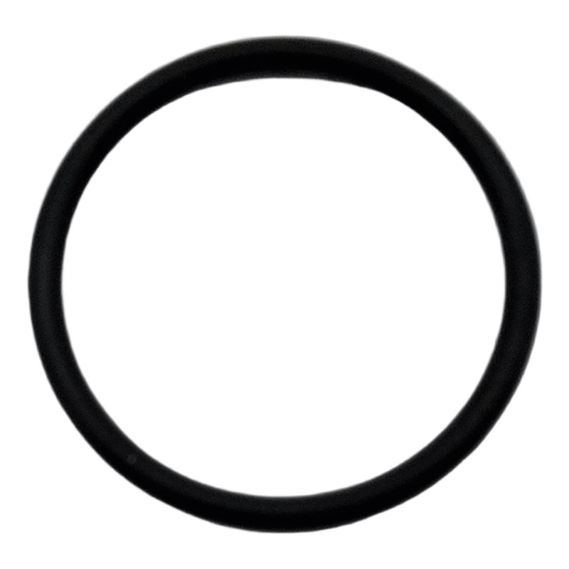 USZCZELKA O'RING 19.1 1.6 NI70