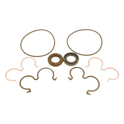 ZESTAW USZCZELNIEŃ POMPY HYDRAULICZNEJ CASAPPA 62046780