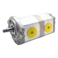 RENAULT PNN 17+11D C046 SAP5G