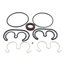 ZESTAW USZCZELNIEŃ SNP2 VITON DO HYDRAULIKI