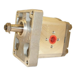 SP2/175 C19L TXSB**