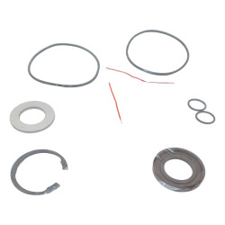 F11-019 (H) ZESTAW USZCZELNIENIA PTFE SILNIKA PIŁY