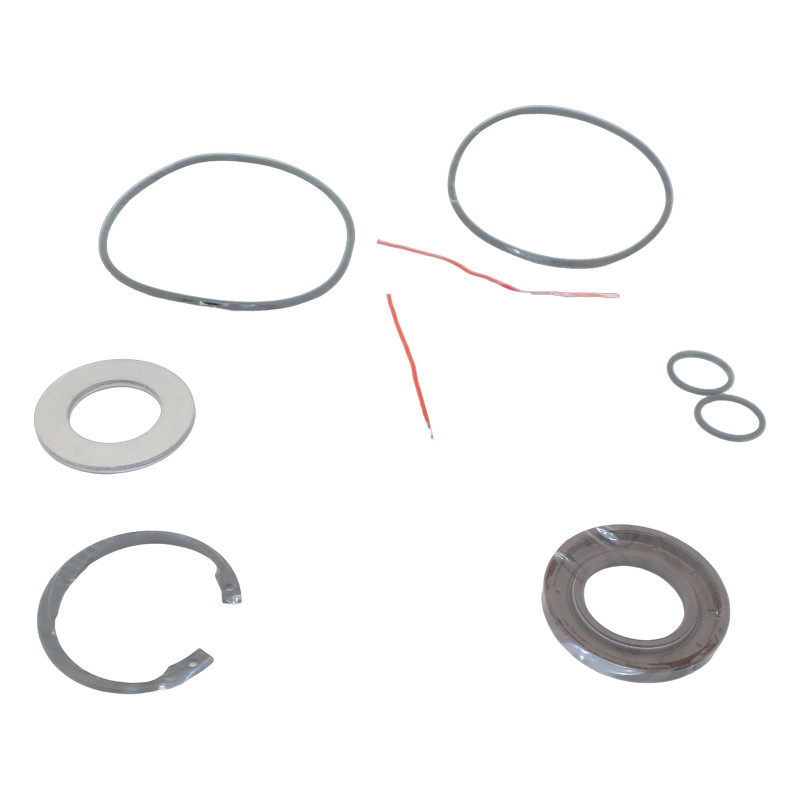 F11-019 (H) ZESTAW USZCZELNIENIA PTFE SILNIKA PIŁY