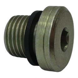ZAŚLEPKA 1/4'' BSP