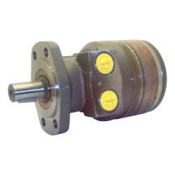 SILNIK HYDRAULICZNY TF0100MW470AAAB ROSS