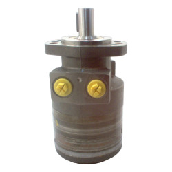 SILNIK HYDRAULICZNY TF0240EW260AAAB ROSS