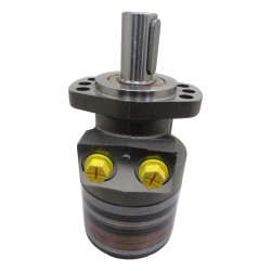 SILNIK HYDRAULICZNY TF0280EW470AAAB ROSS