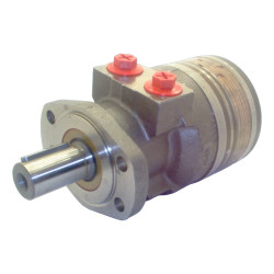 SILNIK HYDRAULICZNY TG0140MV450AAAB ROSS