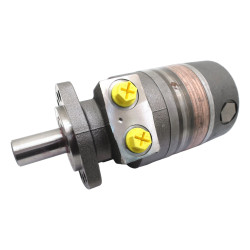 SILNIK HYDRAULICZNY WTG0195EW460BBBJ ROSS