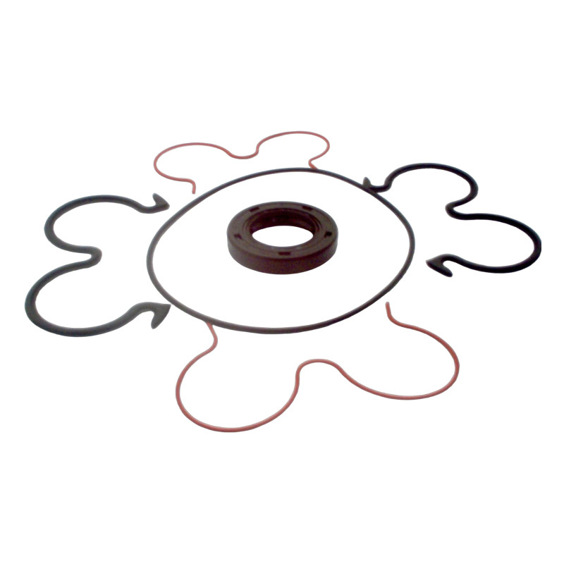 CASAPPA nr 62047000