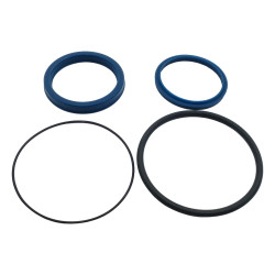 60 ROD 100 BORE GLAND SEAL KIT
