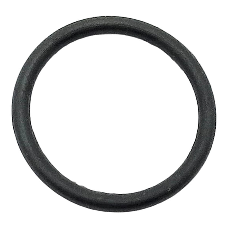 USZCZELKA O'RING 15.1 1.6 NI70