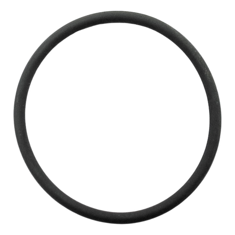 USZCZELKA O'RING 25,1/1,6 WIT