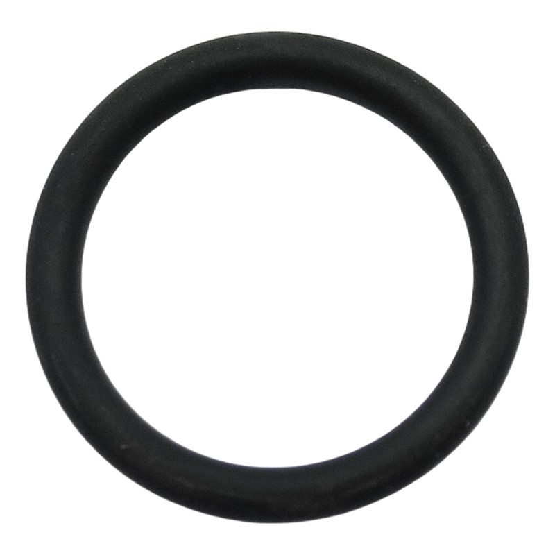 USZCZELKA O-RING 64,5/3,0 WIT