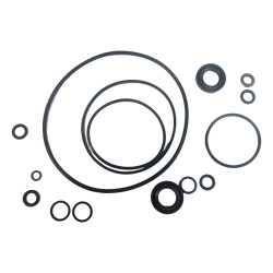 USZCZELKA 550LG29549002