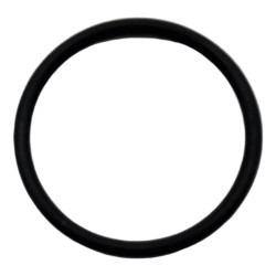 USZCZELKA O'RING 19.1 1.6 NI70