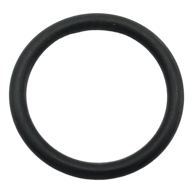 USZCZELKA O'RING 24,5 3,0 NI70