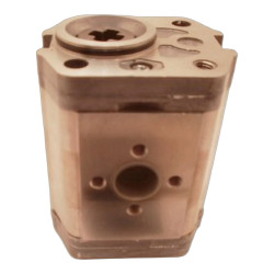 SNP2 C25L FR73.C