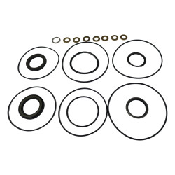 KOMPLET USZCZELEK DO MAŁYCH SILNIKÓW 151-1295