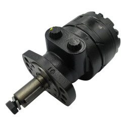 SILNIK 300 CC/OBR