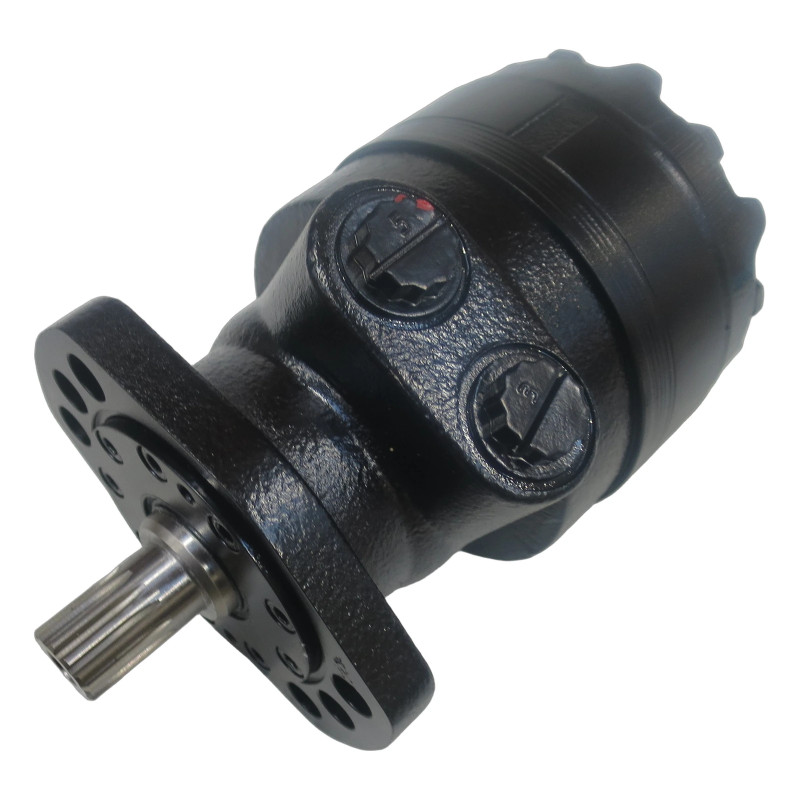 SILNIK 300 CC/OBR SILNIK 300 CC/OBR