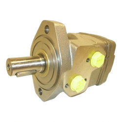 SILNIK HYDRAULICZNY WAŁEK 300CC/REV 1'' 255320A1010AAAAA