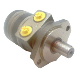 SILNIK HYDRAULICZNY TE0100CW100AAAB
