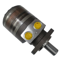 SILNIK HYDRAULICZNY TF0195EW460AAAB ROSS