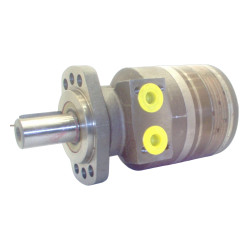 SILNIK HYDRAULICZNY TF0240EN460AAAB ROSS
