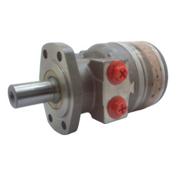 SILNIK HYDRAULICZNY TG0170MV450AAAB ROSS